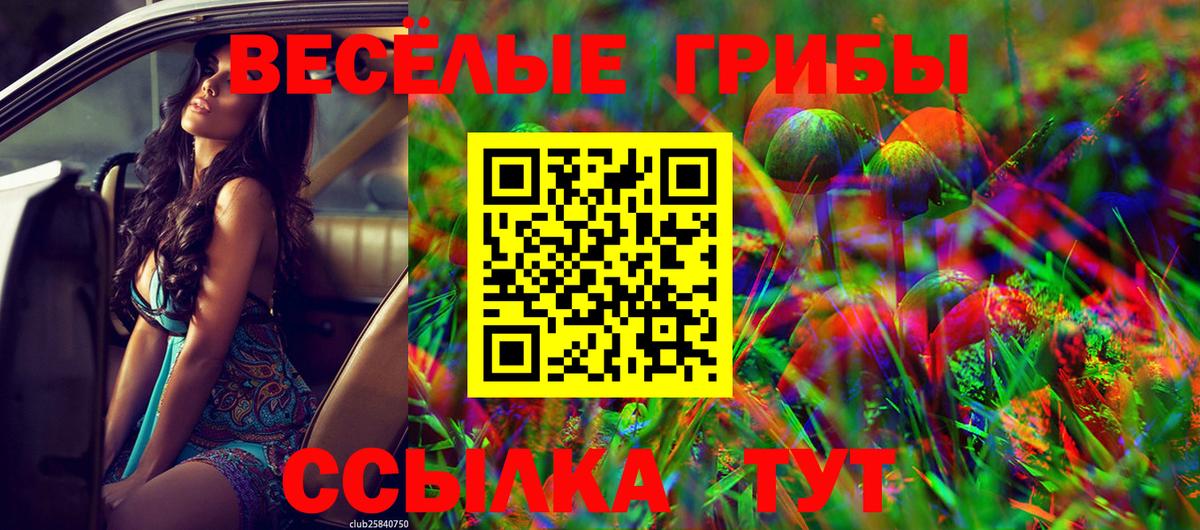 Острогожск  Псилоцибиновые грибы прущие грибы  Вход с VPN  Псилоцибиновые грибы MAGIC MUSHROOMS 